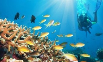 Plongée aux Bahamas, The Blue Hole