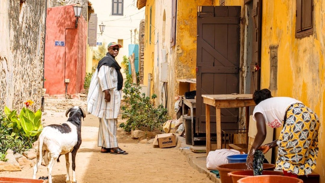 Gorée, l'histoire troublante du Sénégal