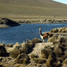 Arequipa Perou