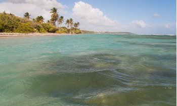 Les 5 joyaux incontournables à découvrir en Martinique