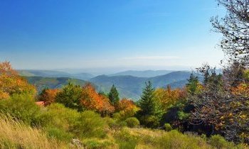 Découverte du Parc Naturel Serra da Estrela