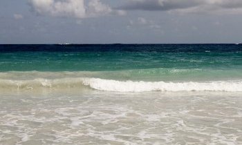 Découvrir les trésors de la Martinique