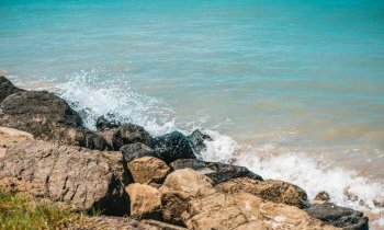 Martinique, l'île aux Fleurs