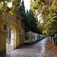 Chiraz Iran