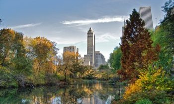 New York : Central Park