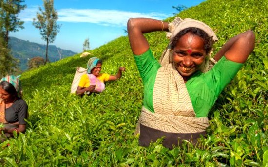 Vacances de Noel en Inde du sud