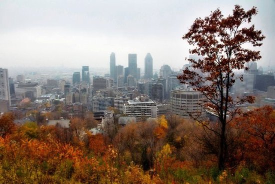 Top 10 des plus beaux attraits touristiques de Montréal 