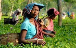 Inde