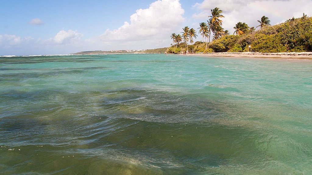 Les 5 joyaux incontournables à découvrir en Martinique