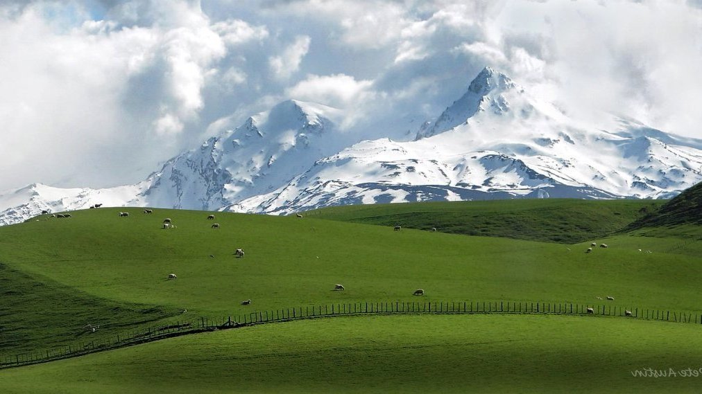 Nouvelle-Zélande : la perle d'Océanie