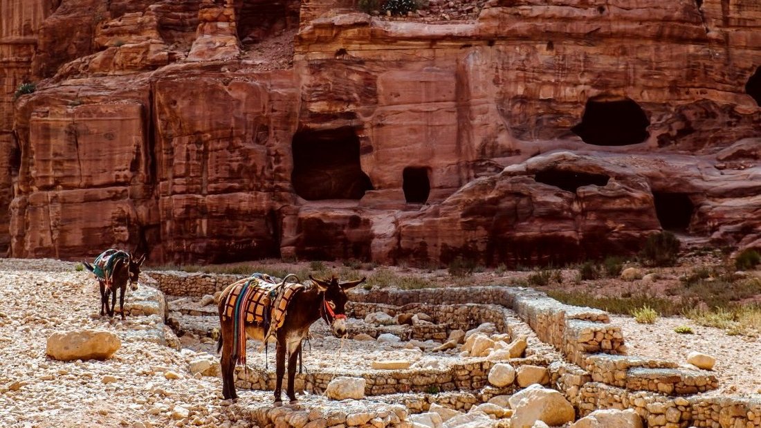 Comment profiter de son voyage en Jordanie ?