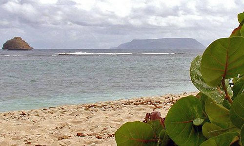 5 merveilles naturelles en Guadeloupe