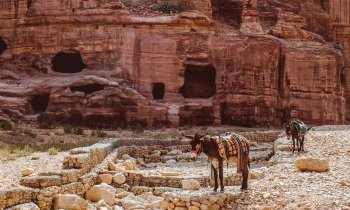 Comment profiter de son voyage en Jordanie ?