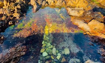 Caño Cristales en Colombie