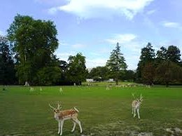 3 parcs proches de Lyon
