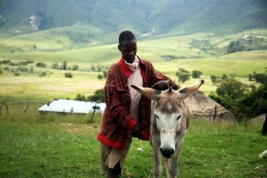 Explorer le Lesotho