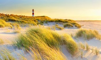 Sylt : La perle de la mer du Nord en Allemagne