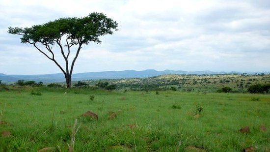 Visiter le Kwazulu-Natal