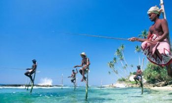 Préparer voyage au Sri Lanka