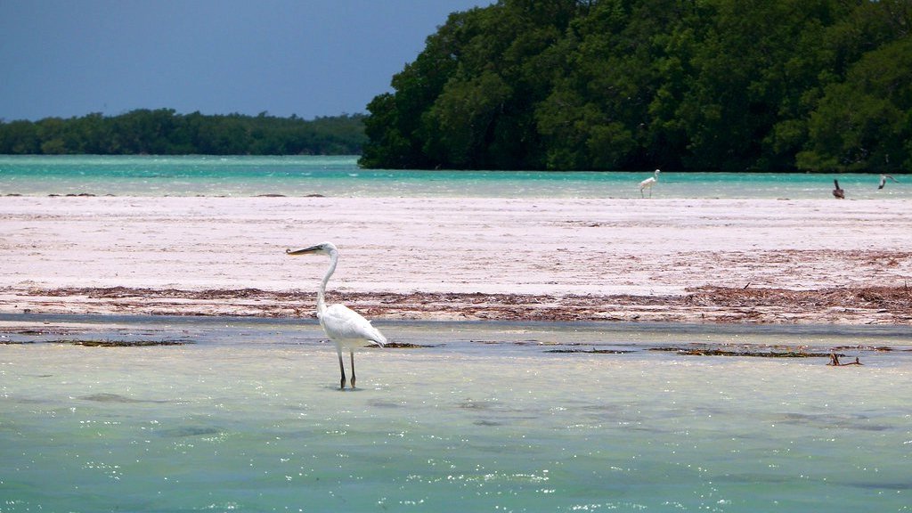 Mexique, Holbox