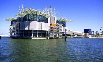 Lisbonne : L'Oceanário