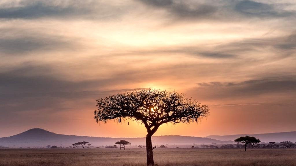 Tanzanie, entre savanes et plages idylliques