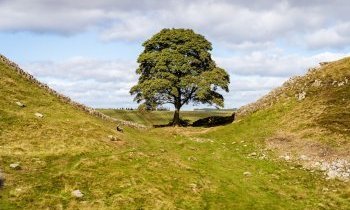 Le Mur d'Hadrien, le passé romain de l'Angleterre