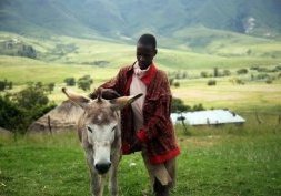Explorer le Lesotho