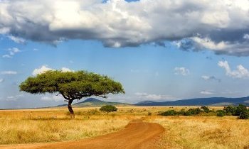 Masai Mara, un trésor naturel au sud-ouest du Kenya