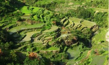 Les rizières en terrasses de Batad aux Philippines