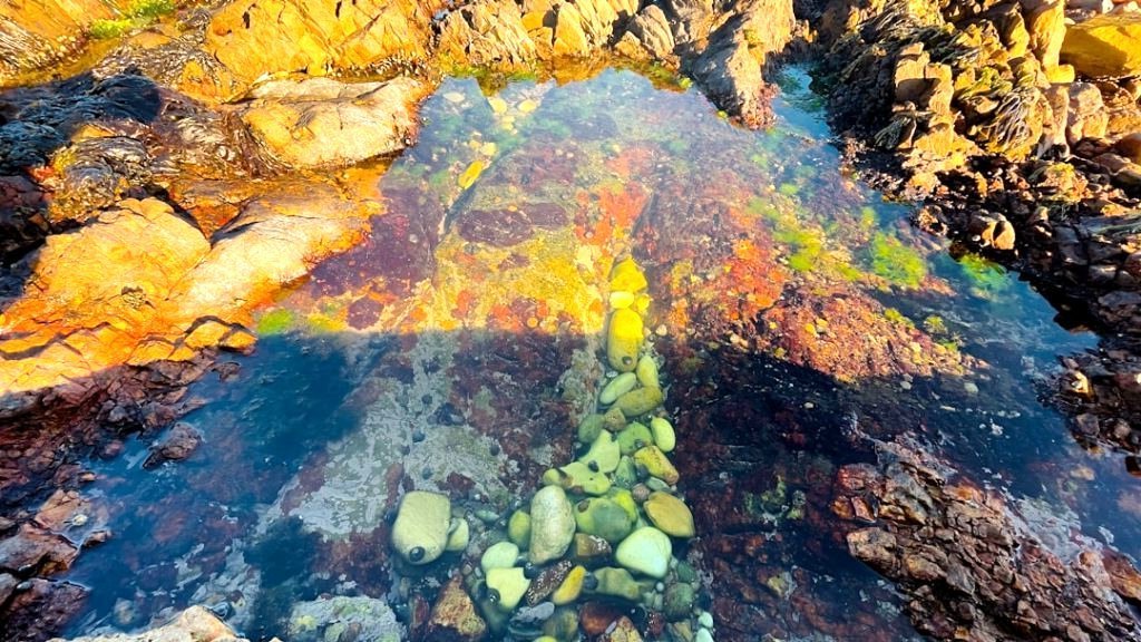 Caño Cristales en Colombie