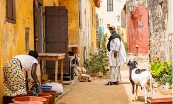 Gorée, l'histoire troublante du Sénégal
