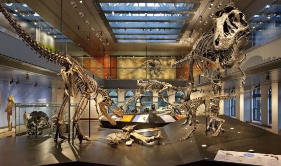 Los Angeles : Natural History Museum of LA county