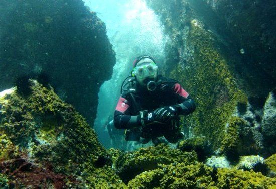 7 meilleurs endroits pour faire de la plongée au Brésil