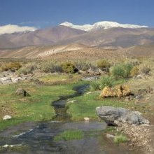 désert de l'Atacama