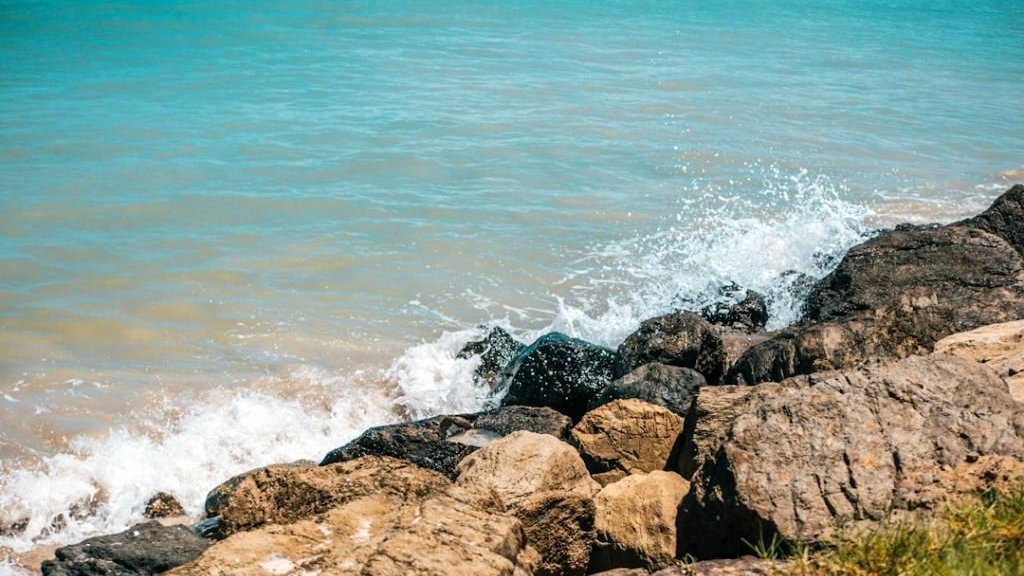 Martinique, l'île aux Fleurs