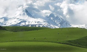 Nouvelle-Zélande : la perle d'Océanie