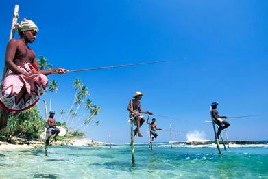 Préparer voyage au Sri Lanka