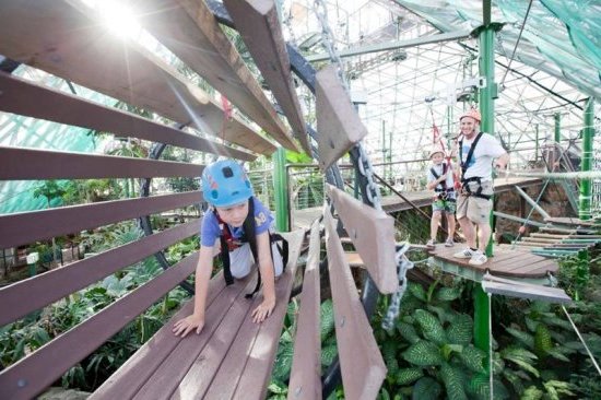 Cairns : Le Wildlife Dome
