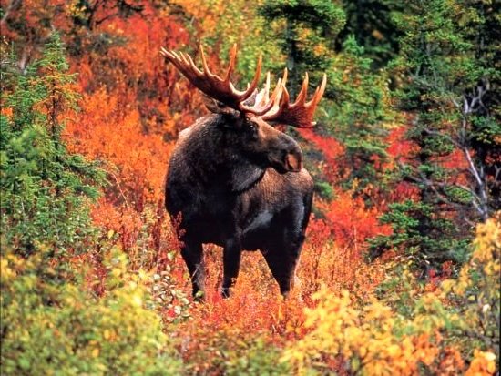 Québec, visitez les Laurentides