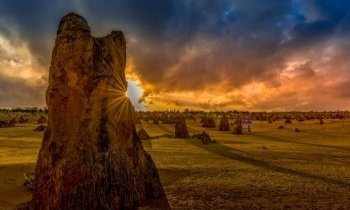 Désert des Pinnacles en Australie