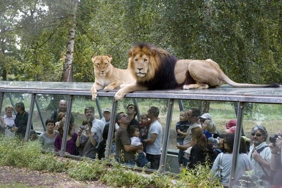Paris, le parc zoologique