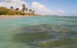 Les 5 joyaux incontournables à découvrir en Martinique