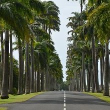 Guadeloupe, paradis des Caraibes
