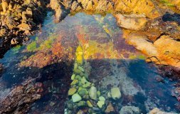 Caño Cristales en Colombie