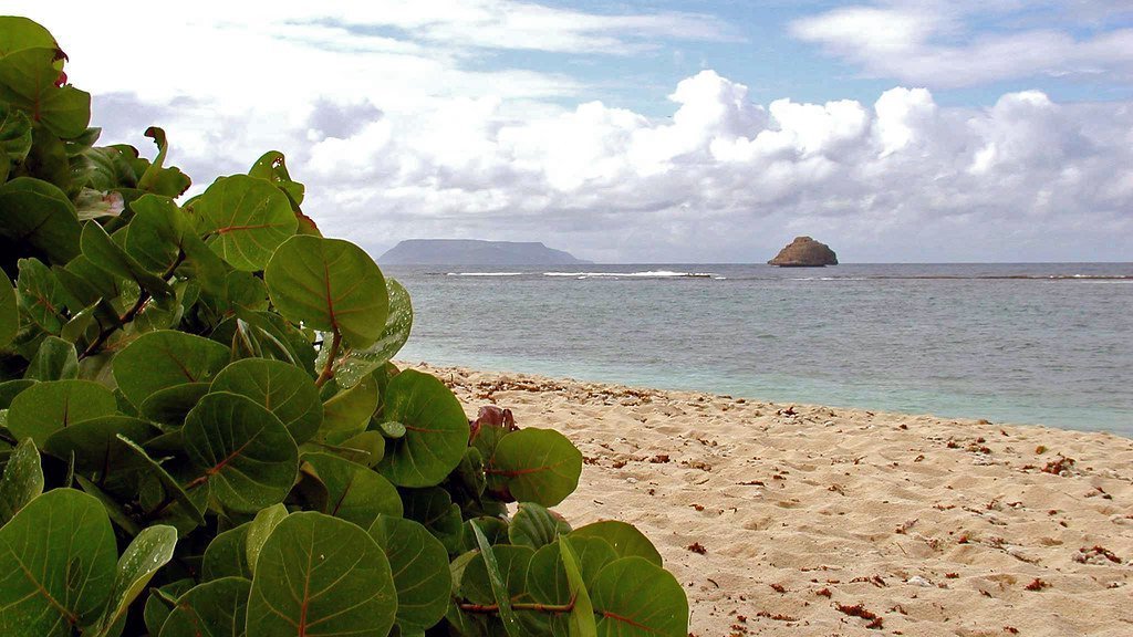 5 merveilles naturelles en Guadeloupe