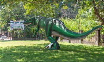 Madras : Parc national de Guindy
