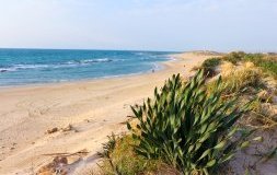 Guide de voyage en Israël