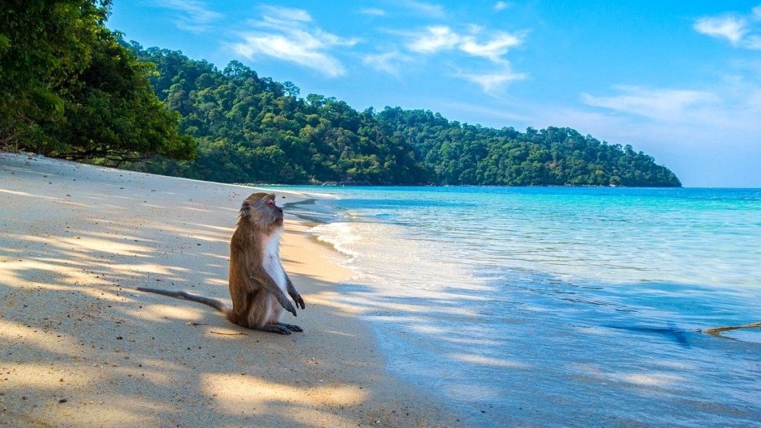 Plus belles plages de Thailande