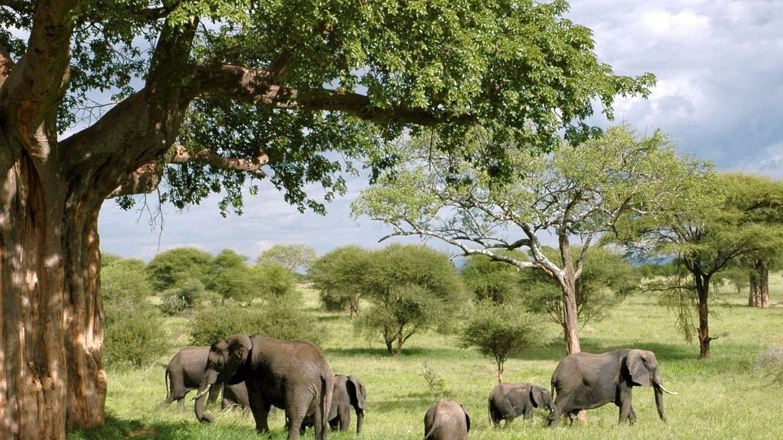 Préparer son voyage en Tanzanie